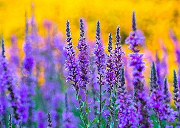 交通管理游戏《都市车流》登陆Xbox 上市宣传片赏